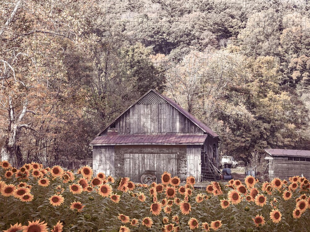 Sunflower Jigsaw Puzzle featuring the photograph Old Wood Barn in Soft Sunflowers by Debra and Dave Vanderlaan