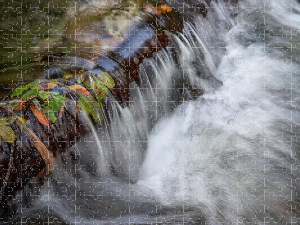 Olema Creek Jigsaw Puzzle featuring the photograph Olema Creek, West Marin by Donald Kinney