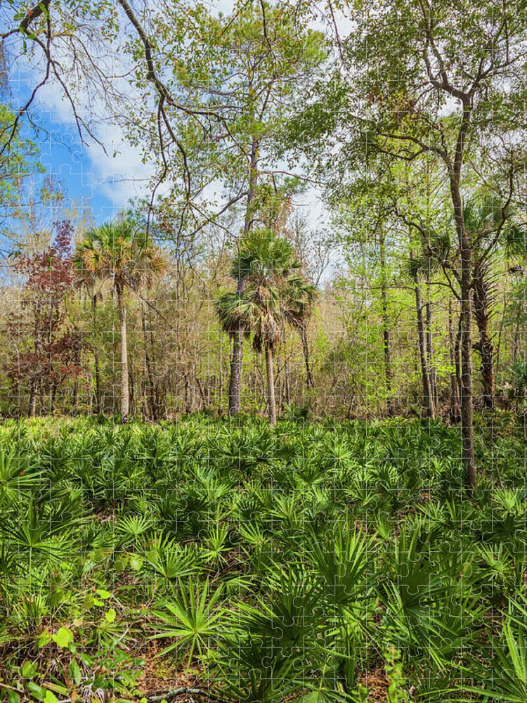 Florida Jigsaw Puzzle featuring the photograph On a Florida Hike - 1 by W Chris Fooshee