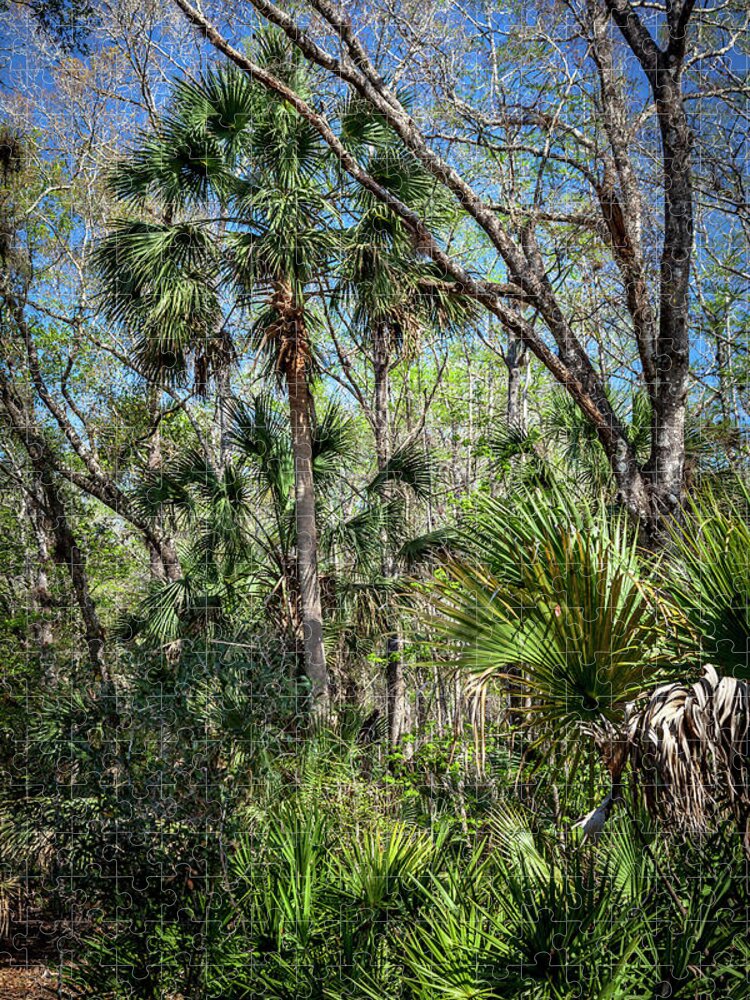 Florida Jigsaw Puzzle featuring the photograph On a Florida Hike - 3 by W Chris Fooshee