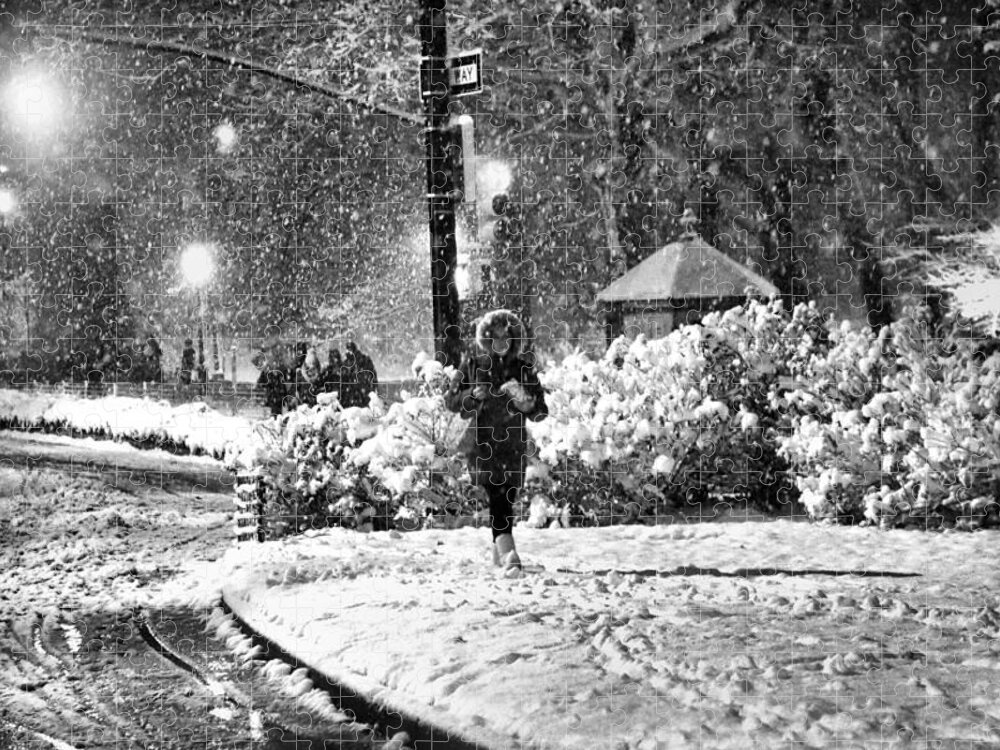 Snow Scene Jigsaw Puzzle featuring the photograph On a Snowy Night in Central Park No. 2 by Steve Ember