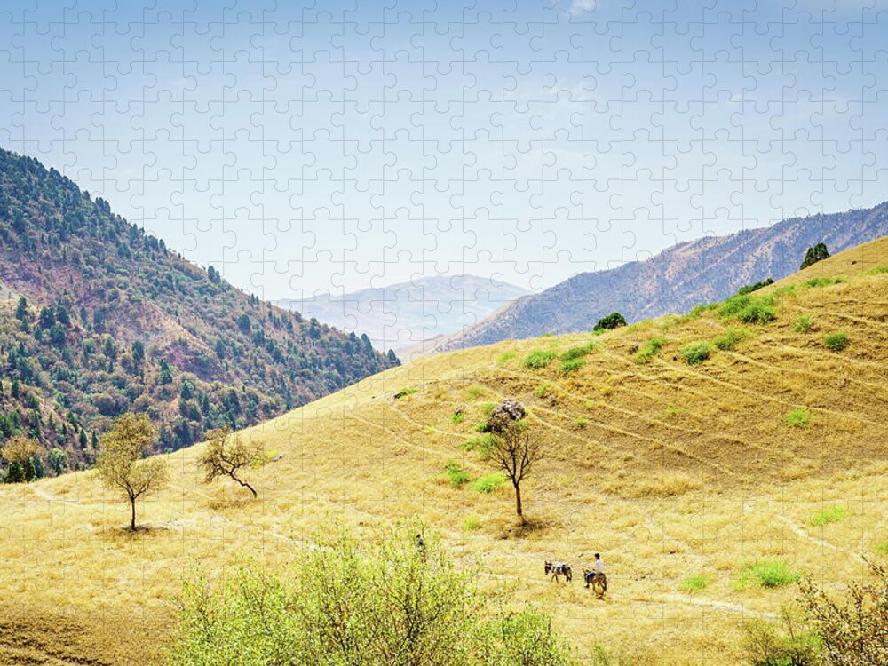 Asia Jigsaw Puzzle featuring the photograph On a trail in Hissar Valley by Alexey Stiop