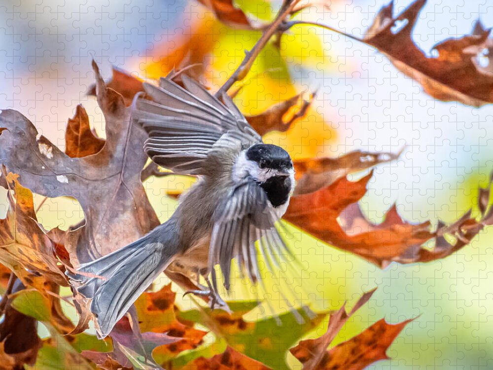 Bird Jigsaw Puzzle featuring the photograph On a Wing and a Prayer by Linda Bonaccorsi