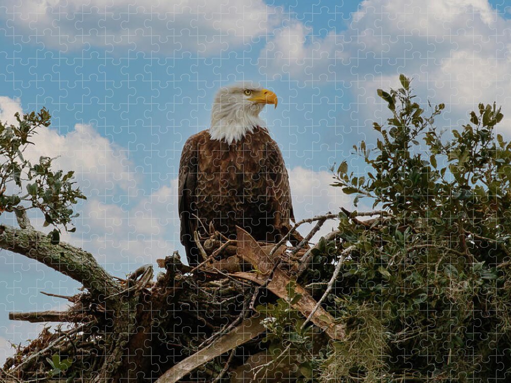 Eagle Jigsaw Puzzle featuring the photograph On Guard by Les Greenwood