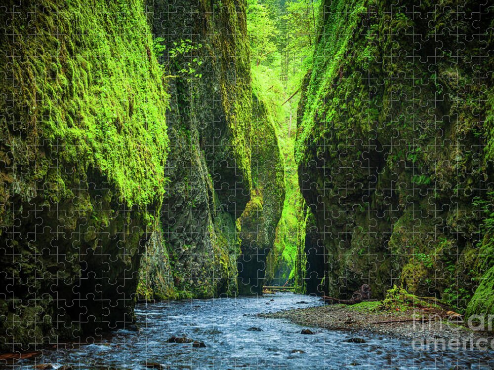 America Jigsaw Puzzle featuring the photograph Oneonta Chasm by Inge Johnsson