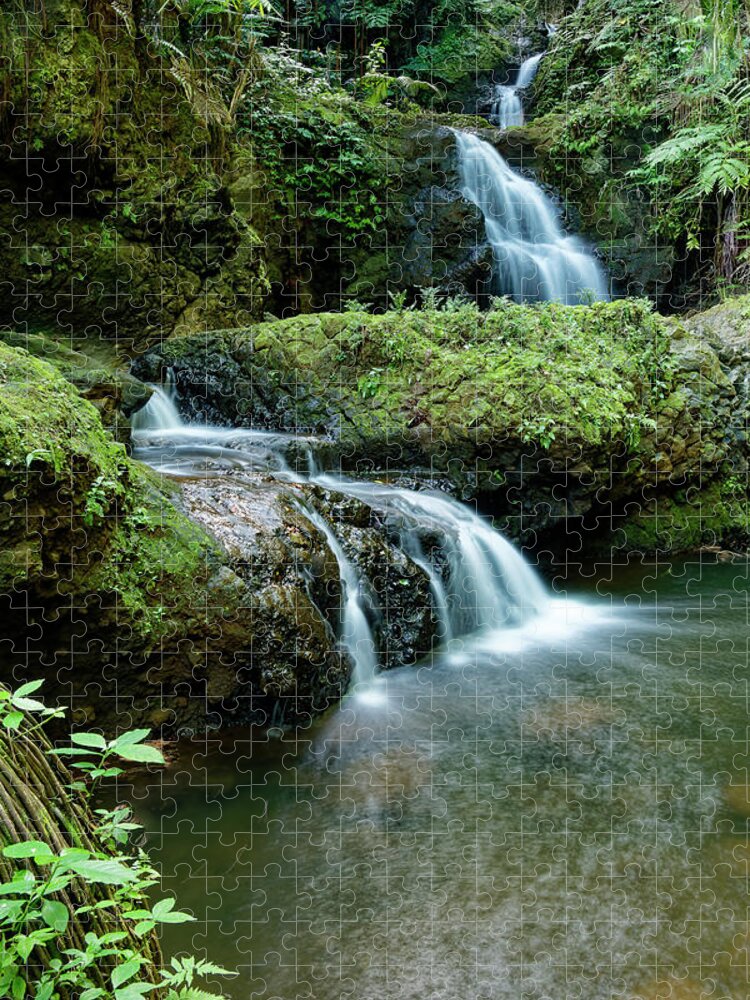 Beautiful Falls Jigsaw Puzzle featuring the photograph Onomea Falls by Heidi Fickinger