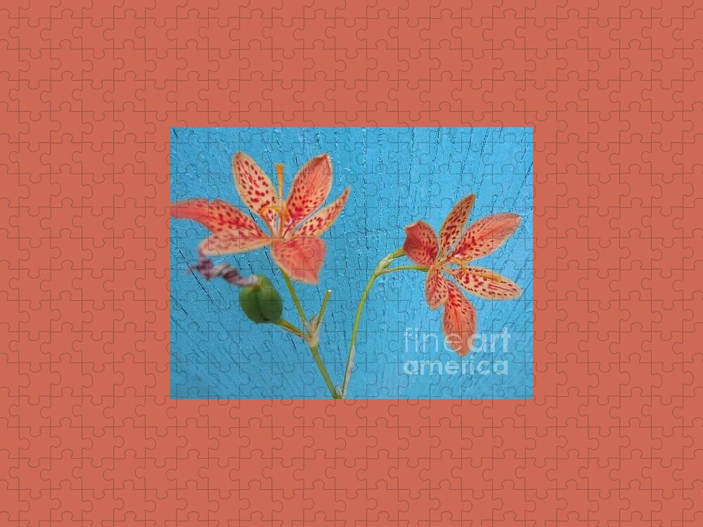 Orange Jigsaw Puzzle featuring the photograph Orange Lily on blue by Nancy Graham