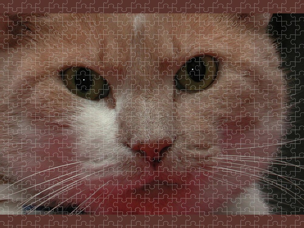 Cat Jigsaw Puzzle featuring the photograph Orange Tabby by Jeff Folger
