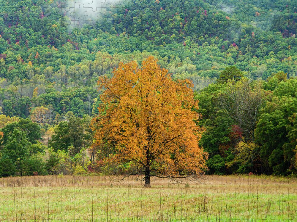 Fall Jigsaw Puzzle featuring the photograph Orange Tree by Karen Cox