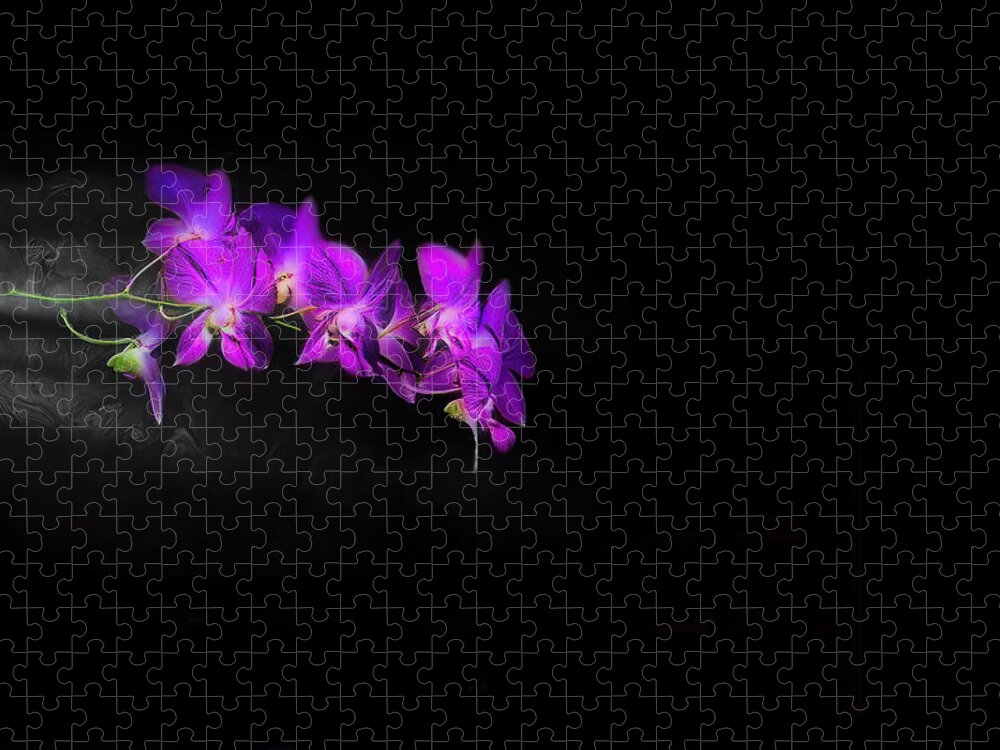 Orchid Jigsaw Puzzle featuring the photograph Orchid Rush by Jim Signorelli