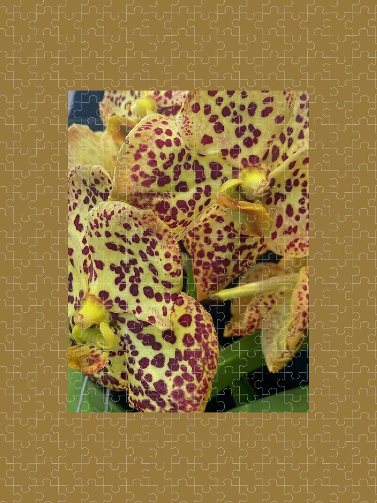 Orchid Jigsaw Puzzle featuring the photograph Orchid_2105 by Pour Your heART Out Artworks