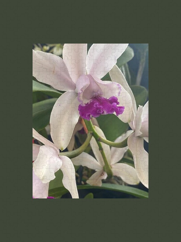 Orchid Jigsaw Puzzle featuring the photograph Orchid_2110 by Pour Your heART Out Artworks