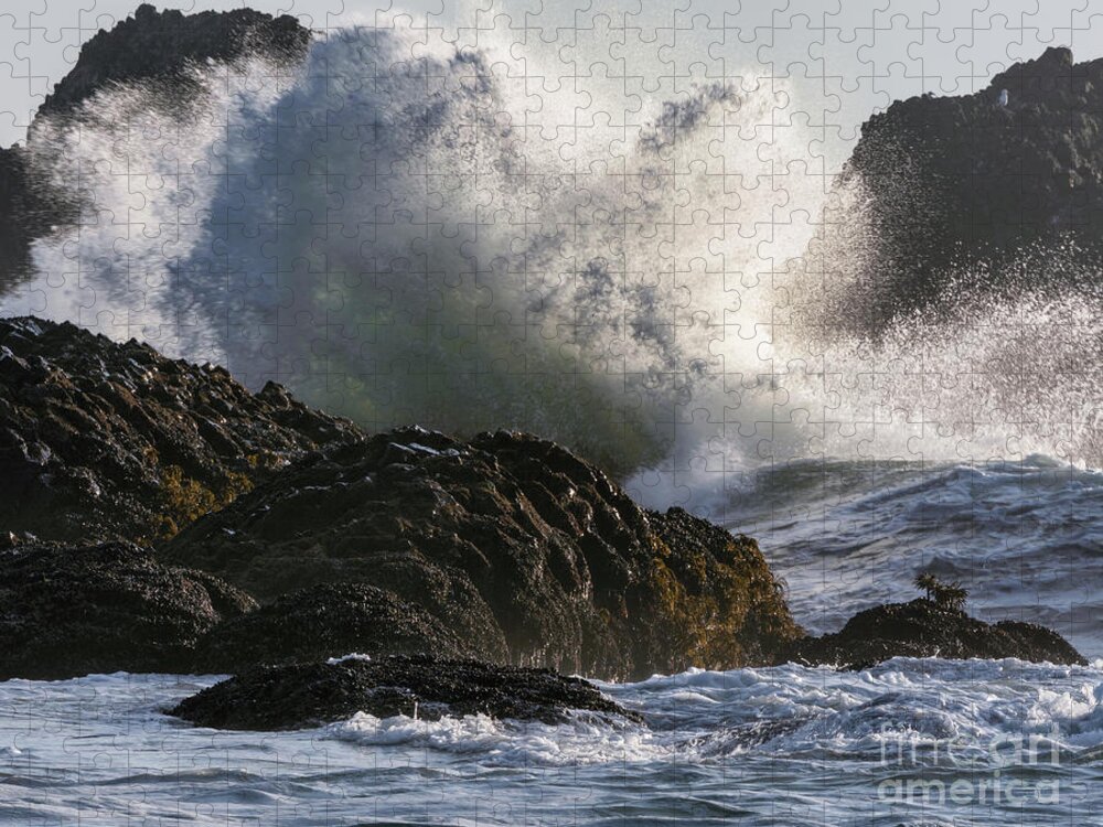 Oregon Jigsaw Puzzle featuring the photograph Oregon splash by Izet Kapetanovic