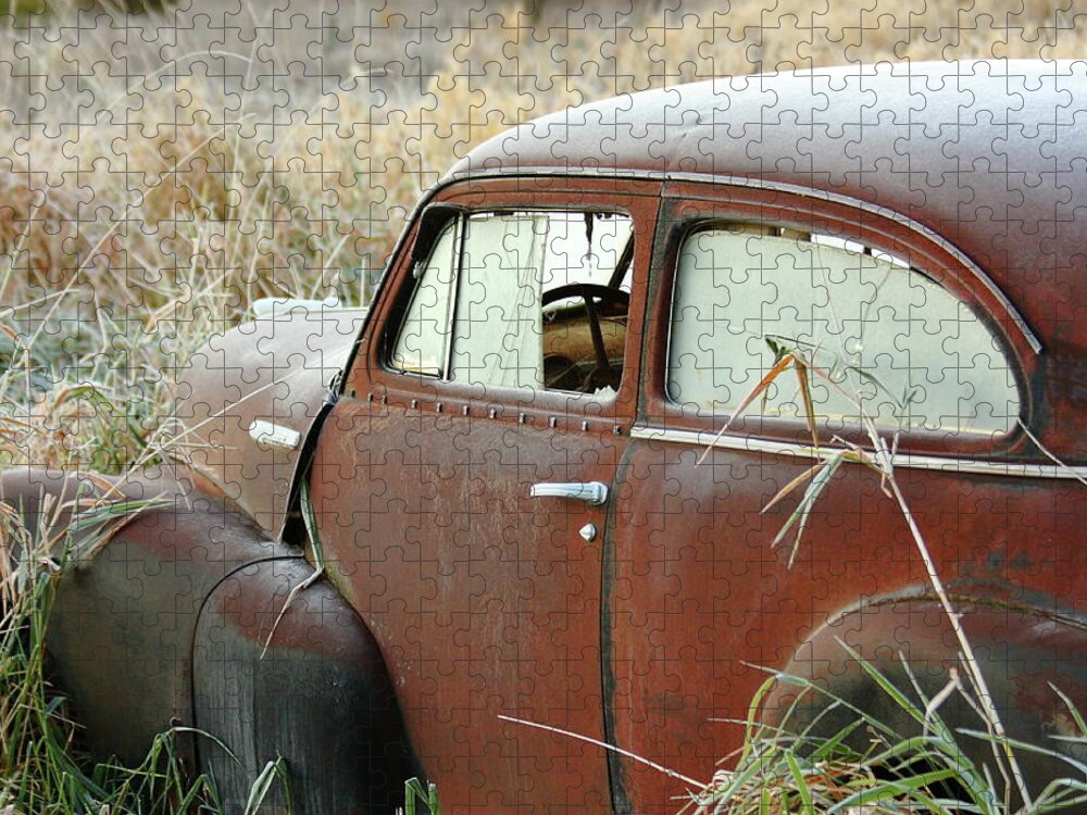 Chevrolet Jigsaw Puzzle featuring the photograph Out To Pasture by Lens Art Photography By Larry Trager