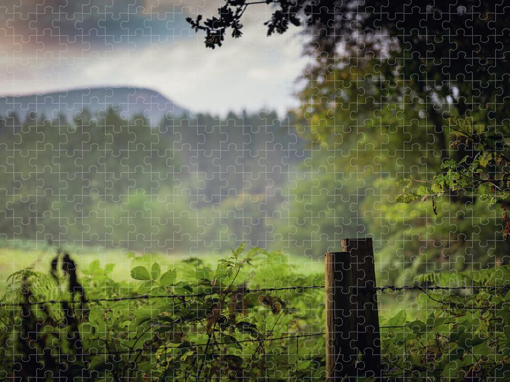Fence Jigsaw Puzzle featuring the photograph Outside by Gavin Lewis