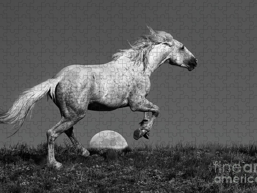 Moon Horse Jigsaw Puzzle featuring the photograph Over the Moon by Jim Garrison