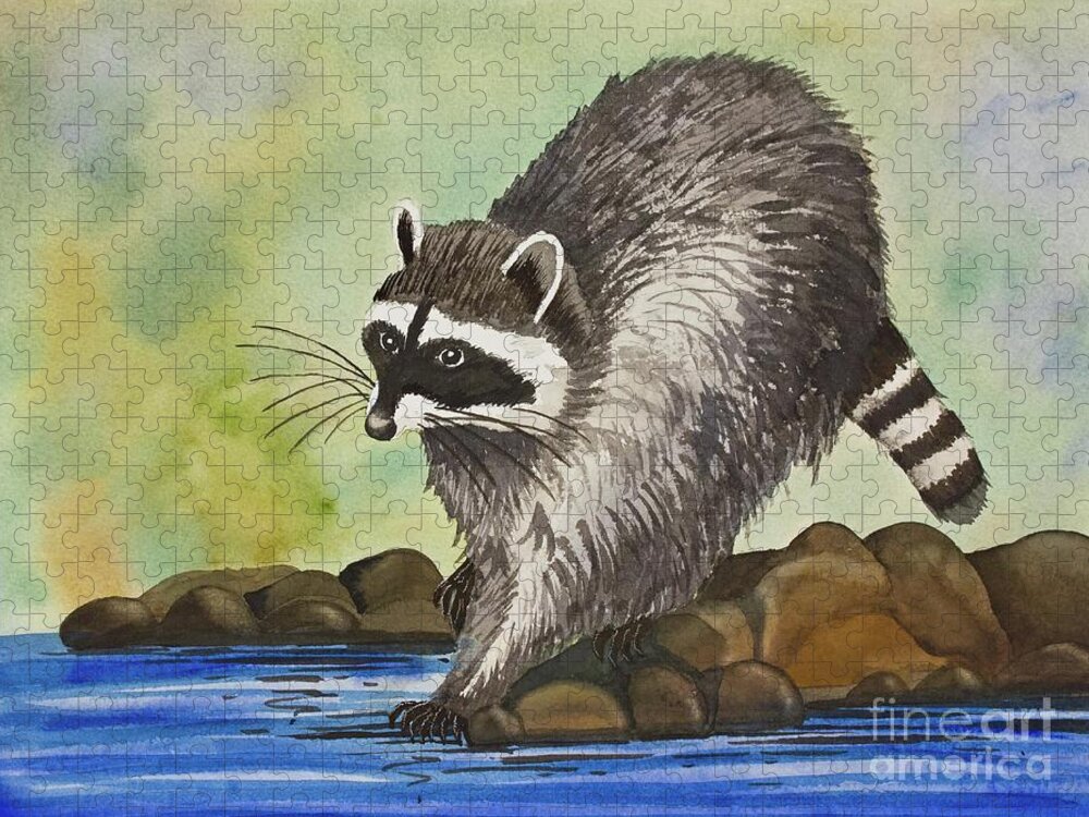 Pacific Northwest Raccoon A Watercolor Painting By Norma Appleton Jigsaw Puzzle featuring the painting Pacific Northwest Raccoon by Norma Appleton