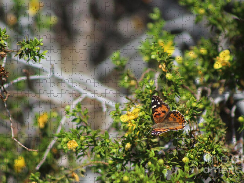 Painted Lady Jigsaw Puzzle featuring the photograph Painted Lady in Coachella Valley Wildlife Preserve by Colleen Cornelius