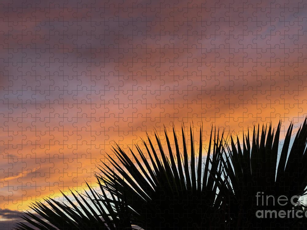 Palm Leaves Jigsaw Puzzle featuring the photograph Palm leaves and soft clouds at sunset by Adriana Mueller