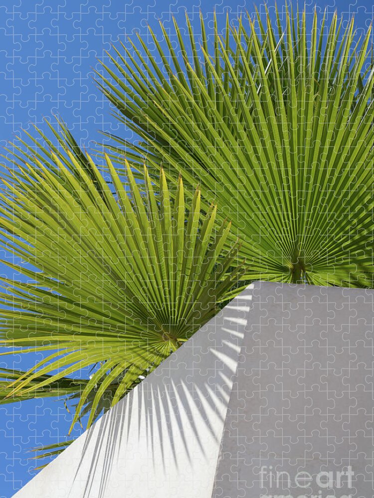 Palm Leaf Jigsaw Puzzle featuring the photograph Green palm leaves, blue sky and white wall of a modern finca 1 by Adriana Mueller