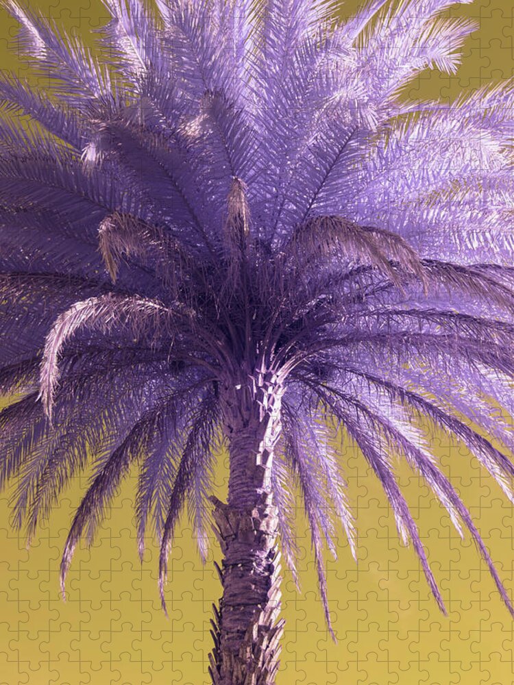 Palm Jigsaw Puzzle featuring the photograph Palm Tree by Carolyn Hutchins