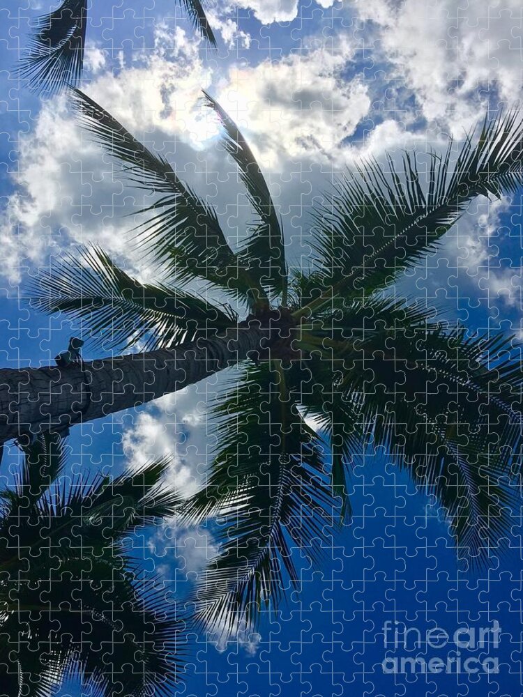 Summer Jigsaw Puzzle featuring the photograph Palm Tree by Thomas Schroeder