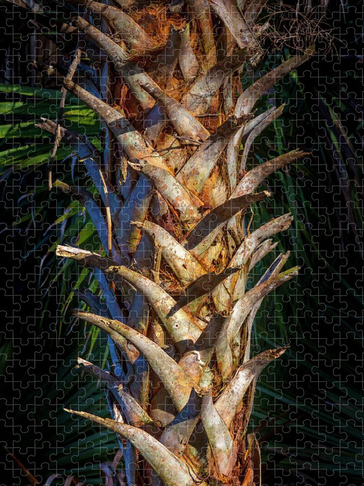 Plant Jigsaw Puzzle featuring the photograph Palm Trunk by W Chris Fooshee