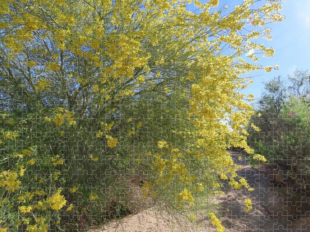 Arizona Jigsaw Puzzle featuring the photograph Palo Verde Tree in Bloom by Judy Kennedy