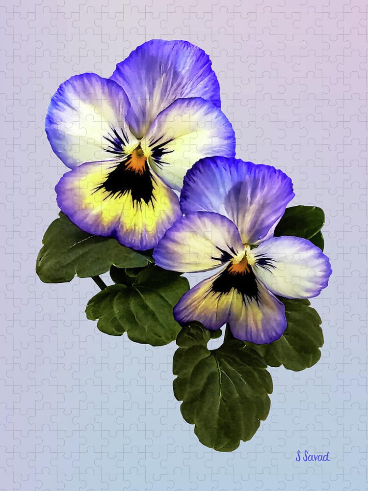 Pansy Jigsaw Puzzle featuring the photograph Pansy Duo by Susan Savad