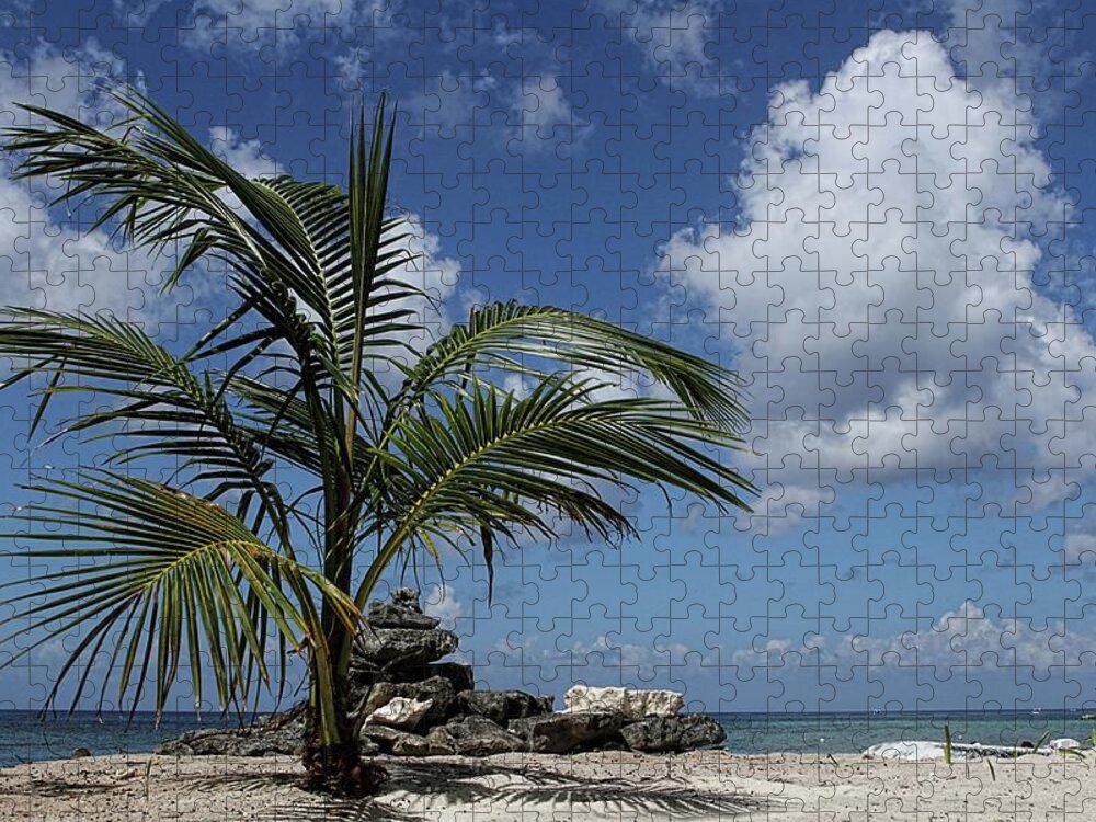 Palm Tree Jigsaw Puzzle featuring the photograph Paradise Picnic by Brad Barton
