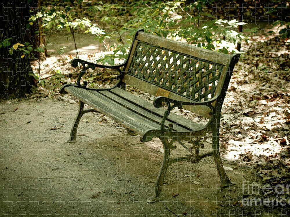 Bench Jigsaw Puzzle featuring the photograph Park Bench by Rich S
