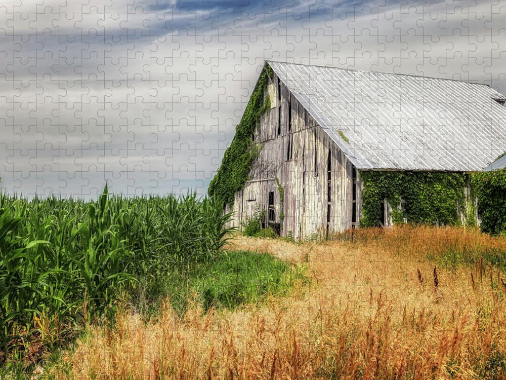 Barn Jigsaw Puzzle featuring the photograph Parke County Indiana Cornfield by Susan Rissi Tregoning