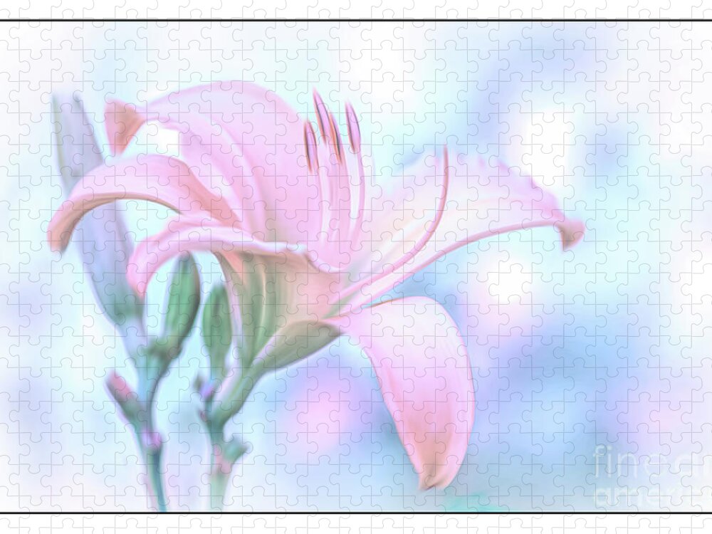 Pink Daylily Jigsaw Puzzle featuring the photograph Pastel Pink Daylily Reaching for the Sky by Anita Pollak