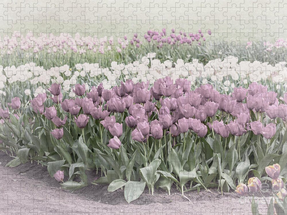Pastel Jigsaw Puzzle featuring the photograph Pastel Tulips by Elaine Teague