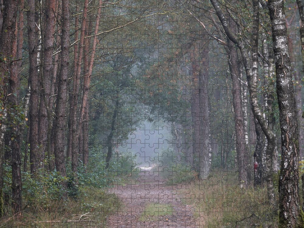 Woods Jigsaw Puzzle featuring the photograph Path in the woods by Anges Van der Logt