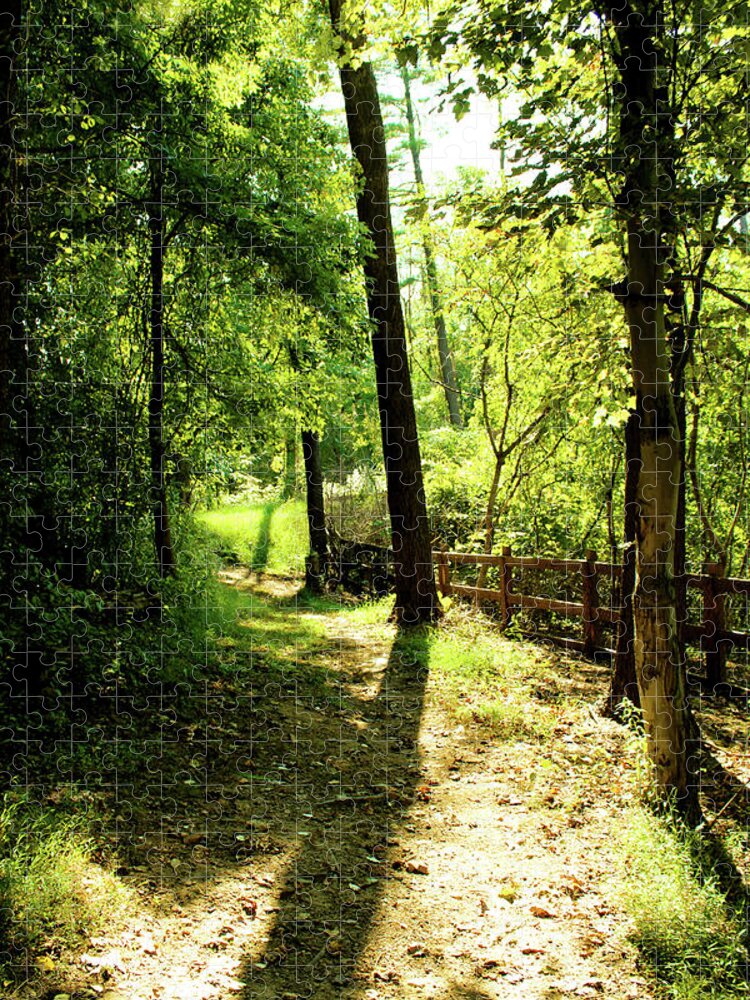 Trees Jigsaw Puzzle featuring the photograph Path out of Summer by Christopher Reed