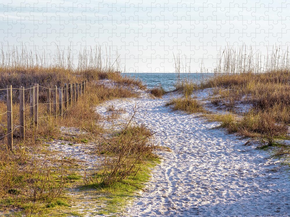 Beach Jigsaw Puzzle featuring the photograph Path to the Beach by Mike Whalen
