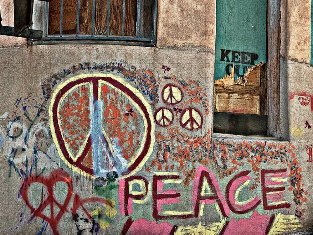 Back Alley Jigsaw Puzzle featuring the photograph Peace, Baby by Carmen Kern
