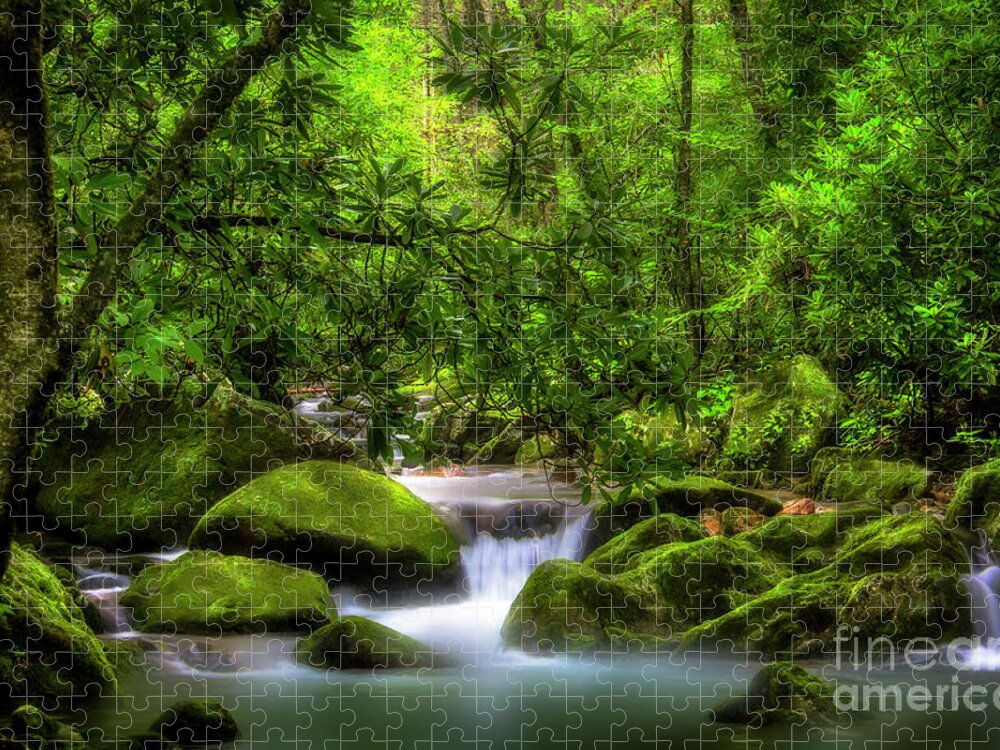 Waterfall Jigsaw Puzzle featuring the photograph Peaceful Cascades in the Forest by Shelia Hunt