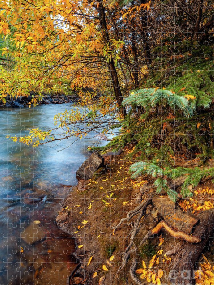 Fall Jigsaw Puzzle featuring the photograph Peaceful Flow by Steven Reed