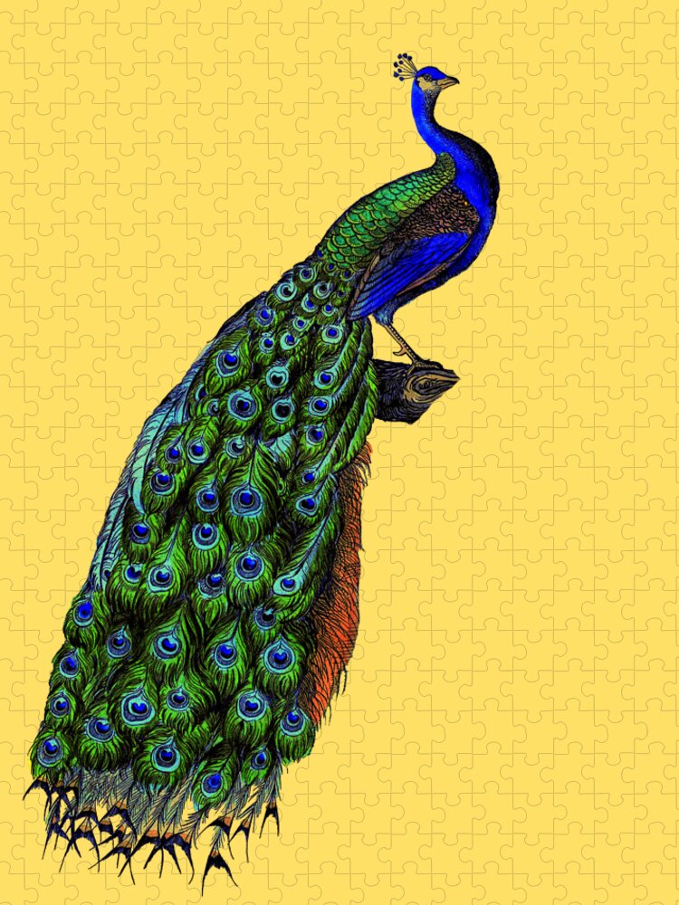 Peacock Jigsaw Puzzle featuring the digital art Peafowl by Madame Memento