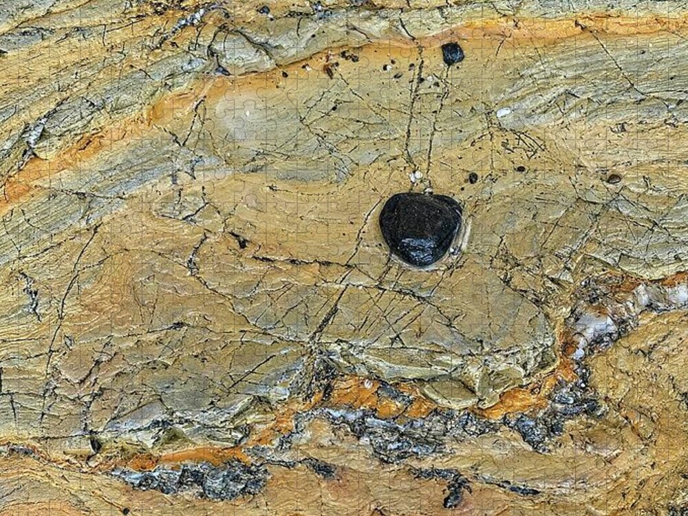 Australia Jigsaw Puzzle featuring the photograph Pebble on Rock, Batemans Bay - Australia by Steven Ralser