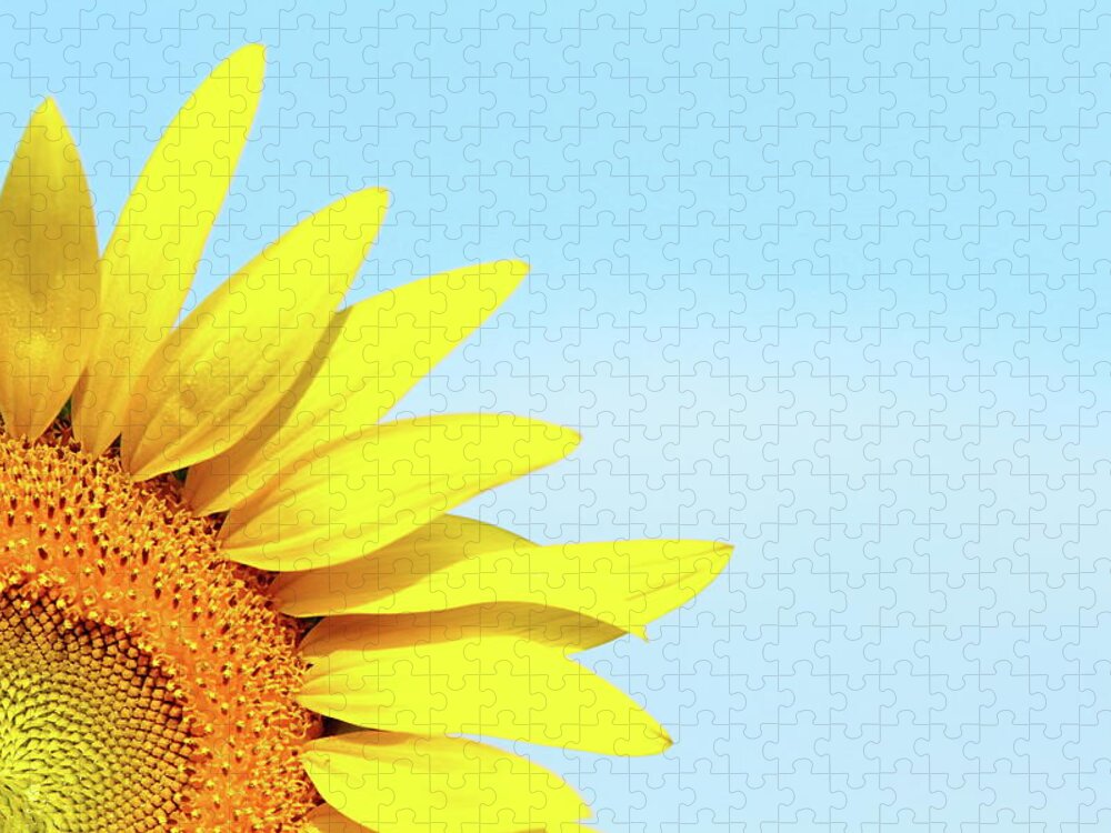 Sunflower Jigsaw Puzzle featuring the photograph Peek by Lens Art Photography By Larry Trager