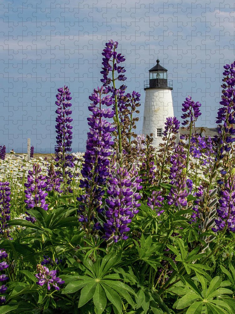 Pemaquid Point Lighthouse Jigsaw Puzzle featuring the photograph Pemaquid Point Lighthouse with purple Lupine by Denise Kopko