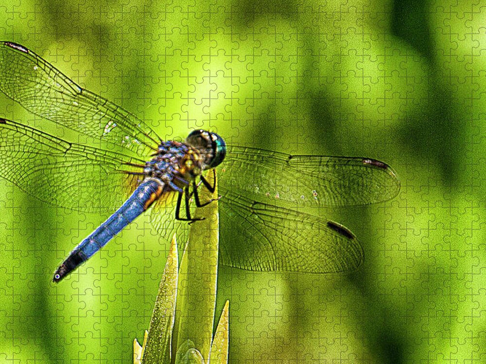 Dragonfly Jigsaw Puzzle featuring the photograph Pensive Dragon by Bill Barber