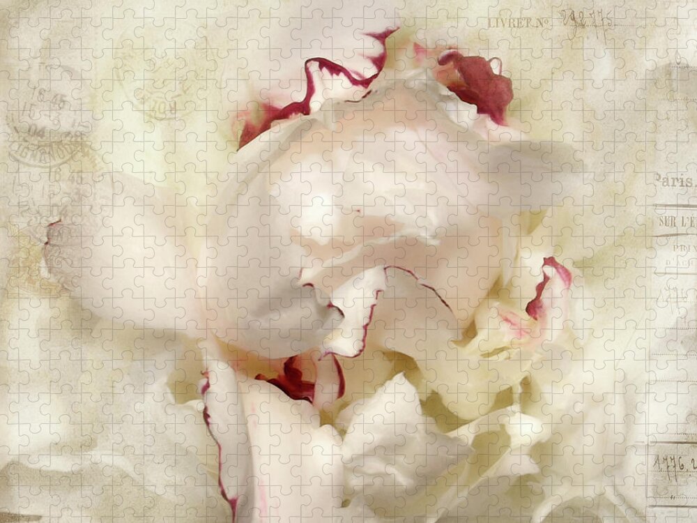 Flower Jigsaw Puzzle featuring the photograph Peony - French Papers by Karen Lynch