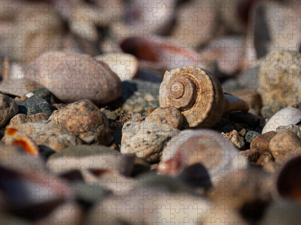 Nature Jigsaw Puzzle featuring the photograph Perfect Spiral in landscape by Linda Bonaccorsi
