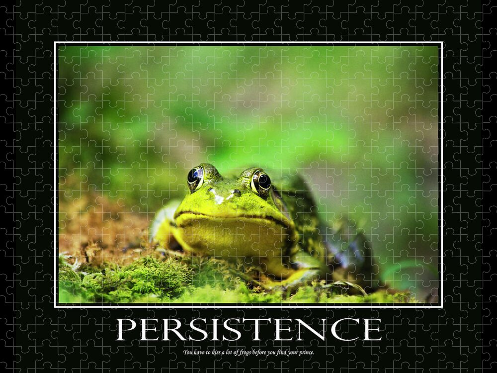 Inspirational Jigsaw Puzzle featuring the photograph Persistence Inspirational Motivational Poster Art by Christina Rollo