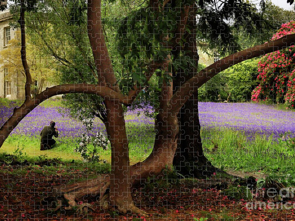 Enys Jigsaw Puzzle featuring the photograph Photographers Delight by Terri Waters