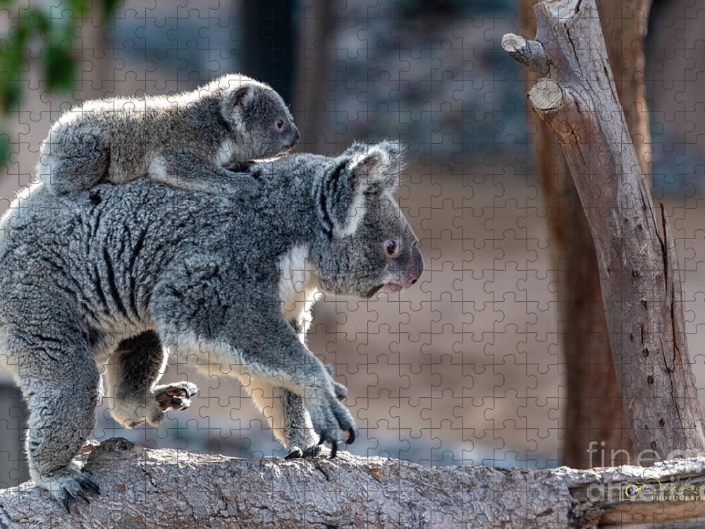 San Diego Zoo Jigsaw Puzzle featuring the photograph Piggy Back Rides by David Levin